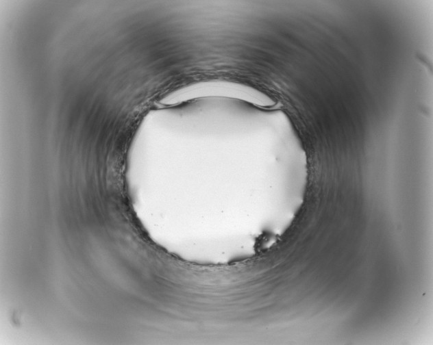 X0000100200030200806271652