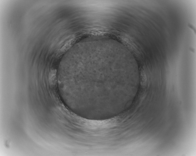 X0000100200034200806271652