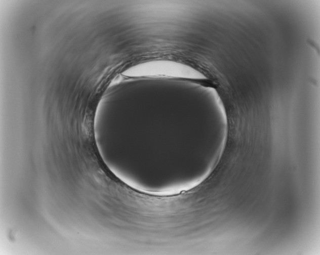 X0000100200035200806271652