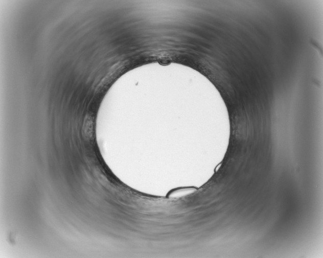 X0000100200036200806271652