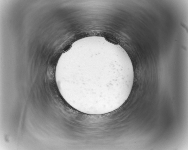 X0000100200037200806271651