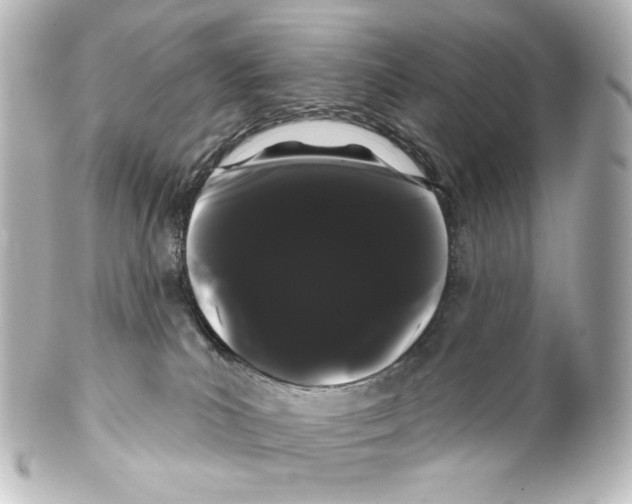 X0000100200039200806271651