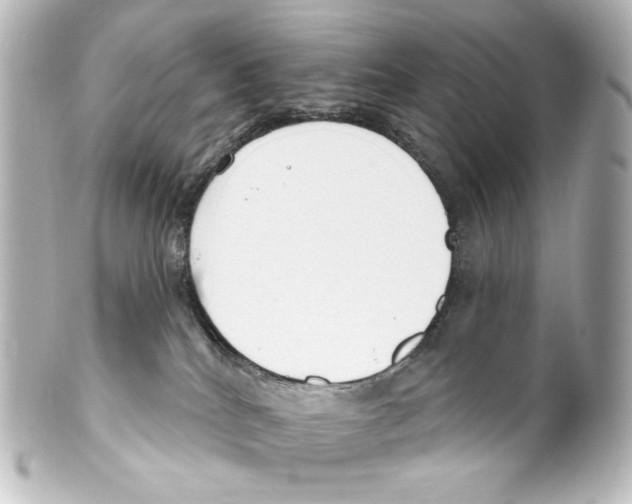 X0000100200040200806271651