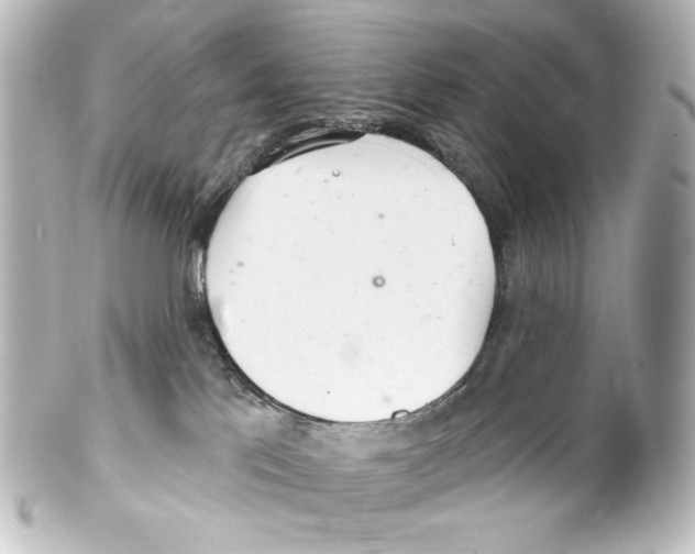 X0000100200041200806271651