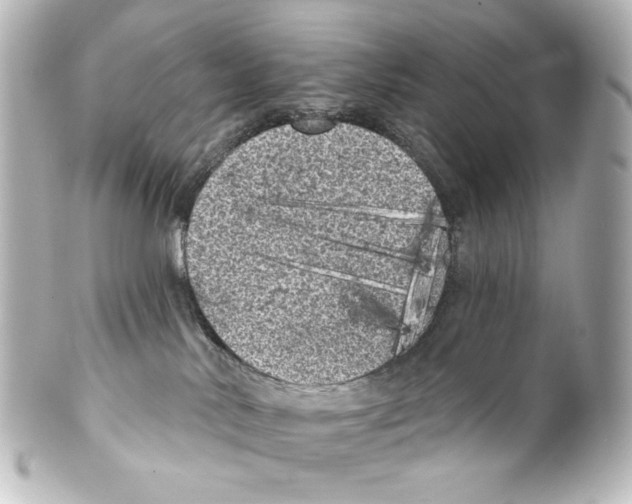X0000100200042200806271651