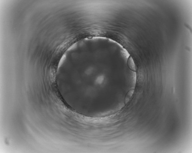 X0000100200043200806271651