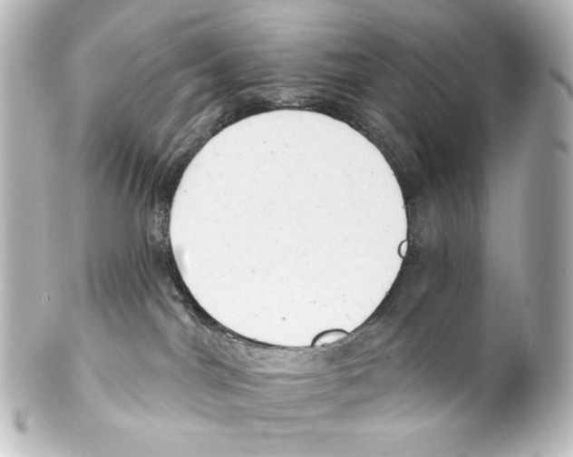 X0000100200044200806271651