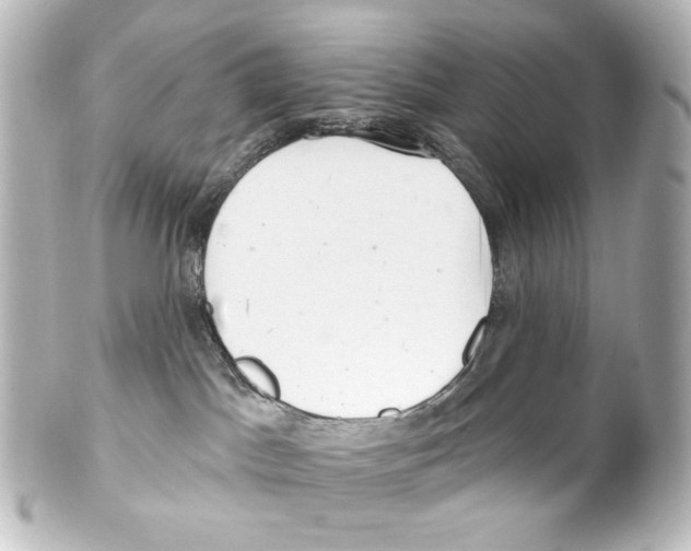 X0000100200045200806271651