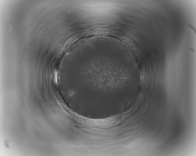 X0000100200046200806271651