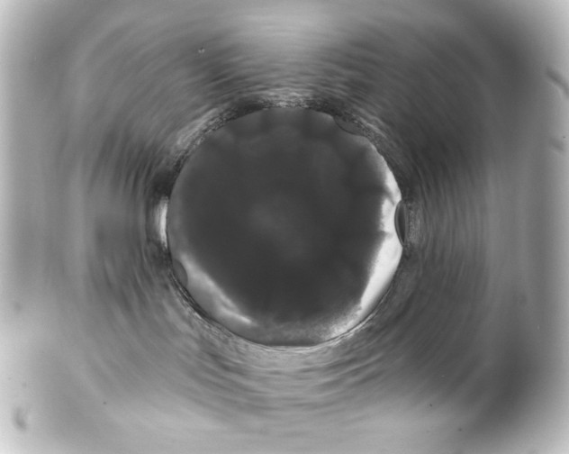 X0000100200047200806271651