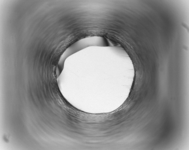 X0000100200048200806271651