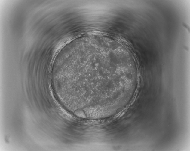 X0000100200049200806271650