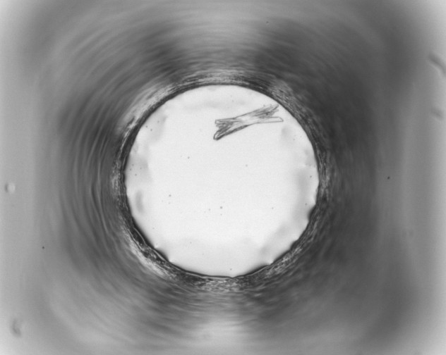 X0000100200050200806271651