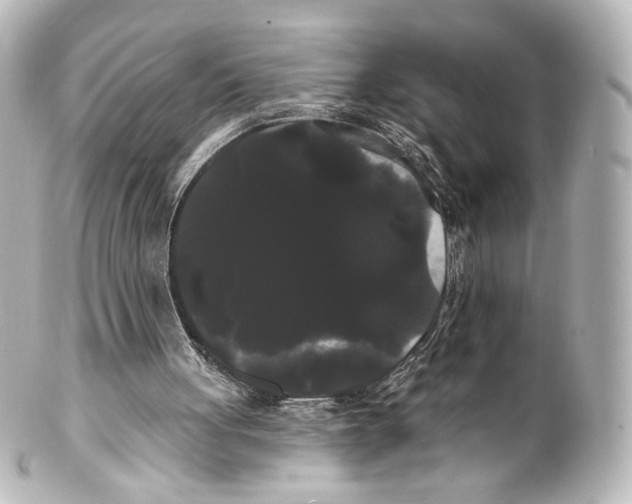 X0000100200051200806271651