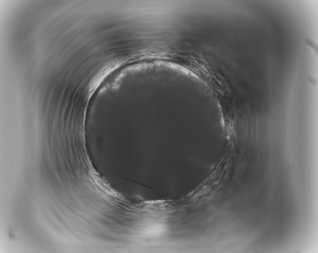 X0000100200052200806271651