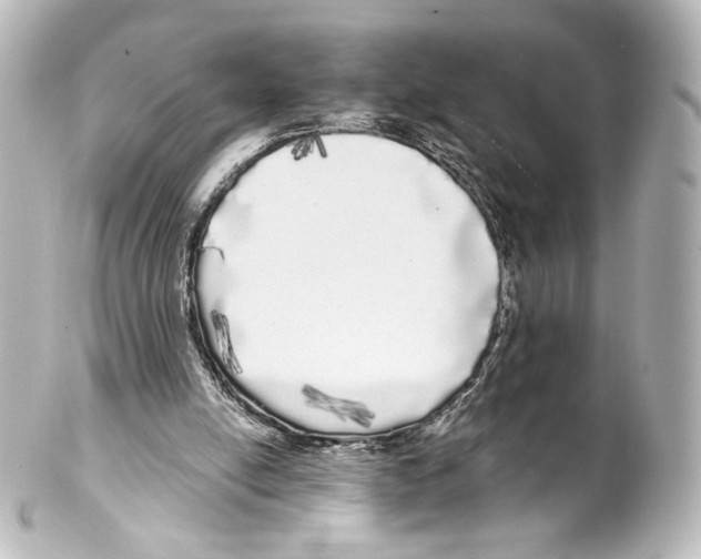 X0000100200054200806271651