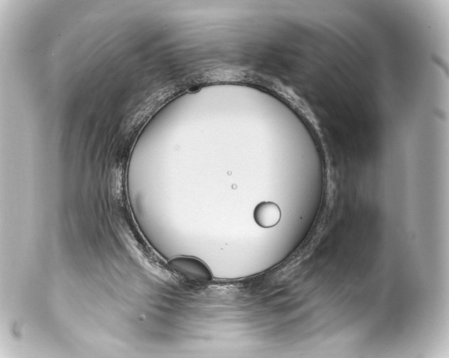 X0000100200057200806271651