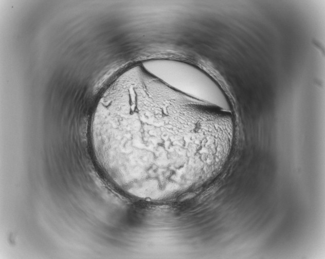 X0000100200058200806271651