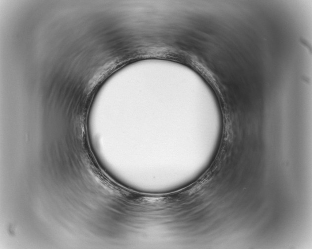 X0000100200059200806271651