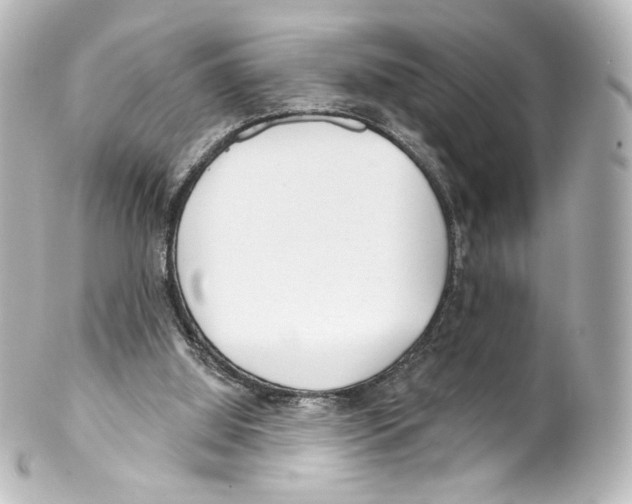 X0000100200060200806271651