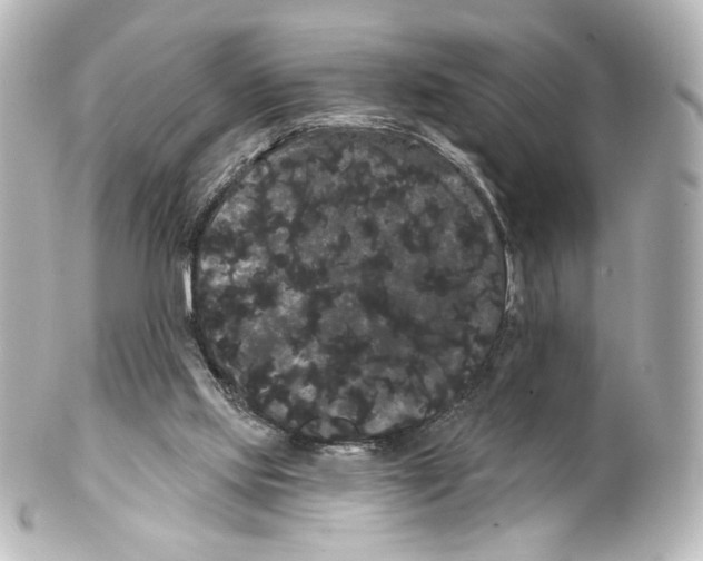 X0000100200061200806271651