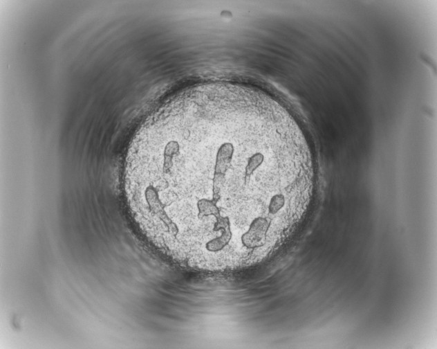 X0000100200065200806271651