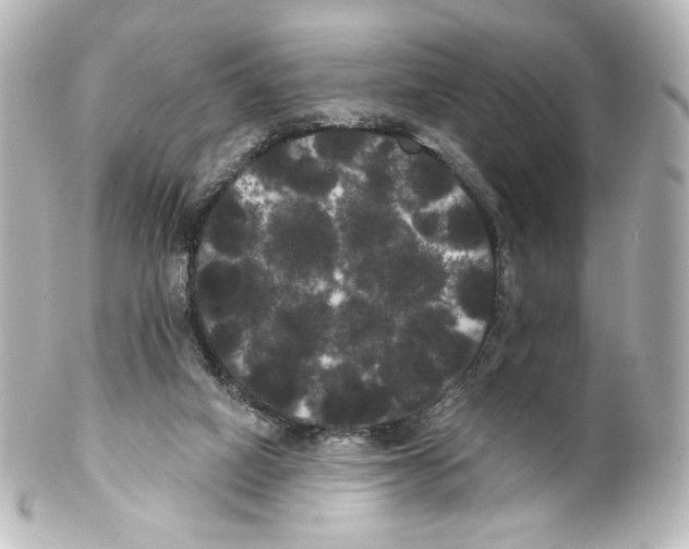 X0000100200066200806271651