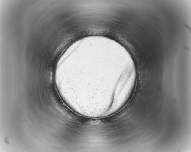 X0000100200067200806271651