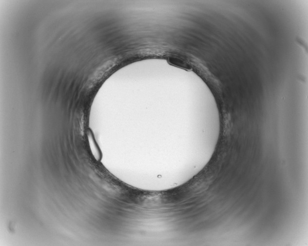 X0000100200068200806271651