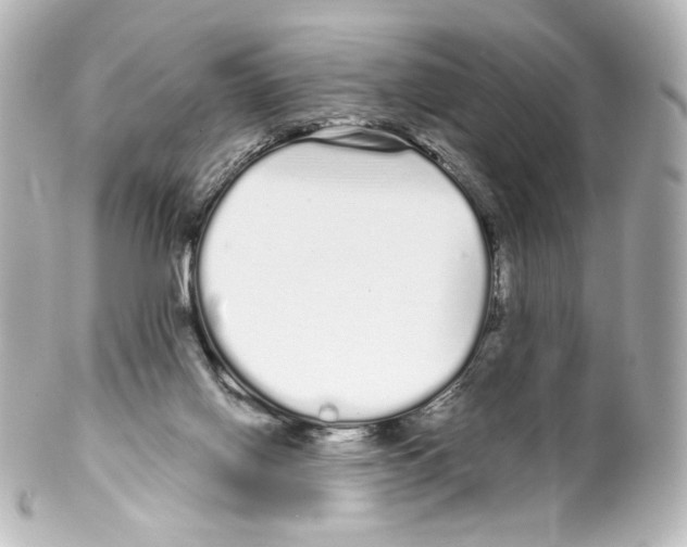 X0000100200070200806271651