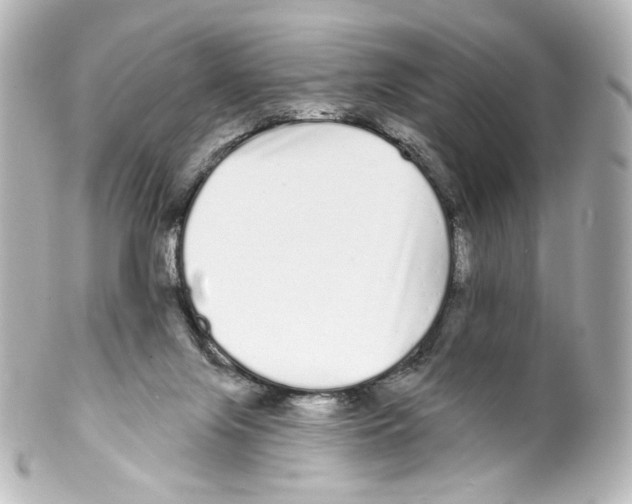 X0000100200071200806271651