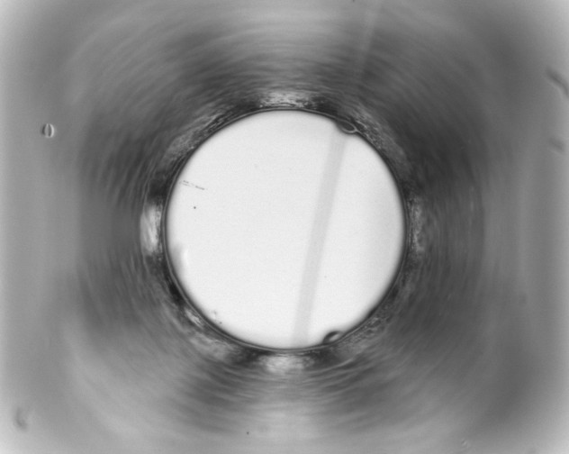 X0000100200075200806271651