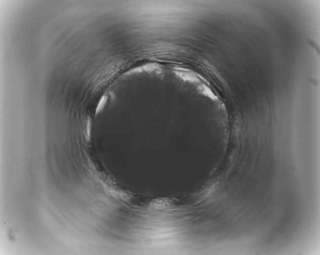 X0000100200076200806271651