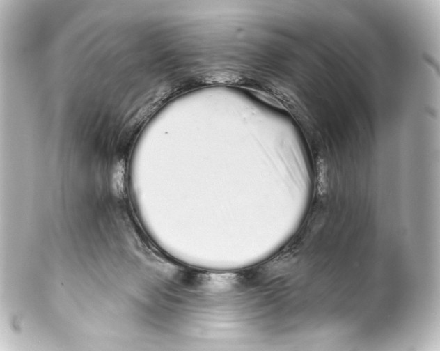 X0000100200077200806271651