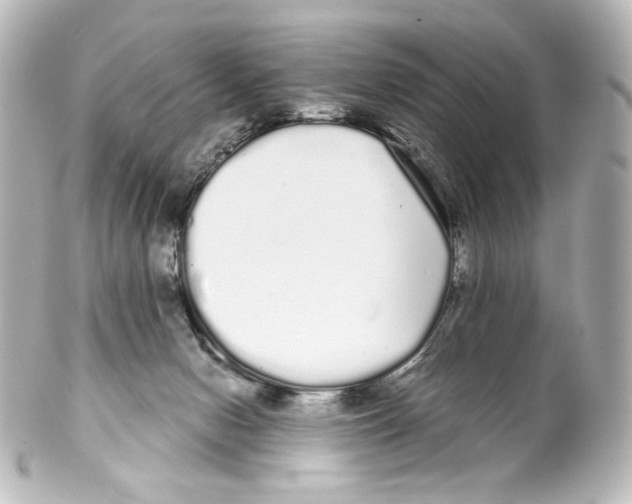 X0000100200078200806271651