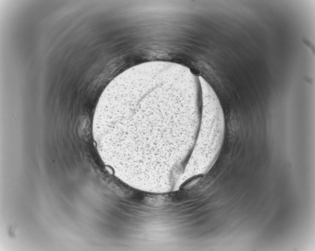 X0000100200079200806271651