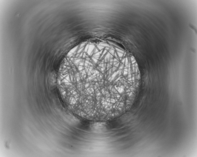 X0000100200081200806271651