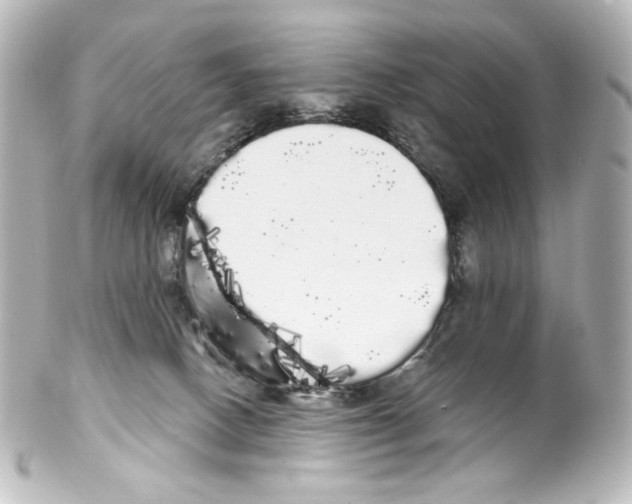 X0000100200082200806271651