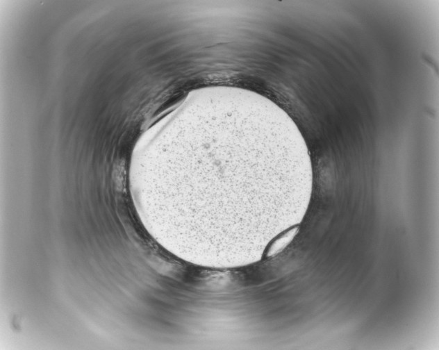 X0000100200083200806271651