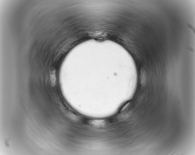 X0000100200085200806271651