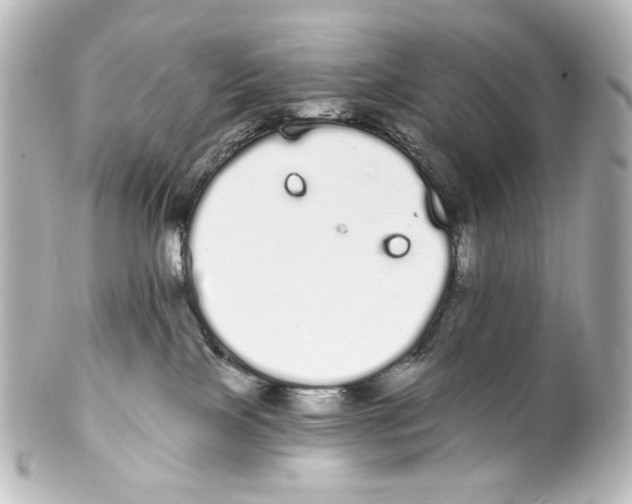 X0000100200089200806271651