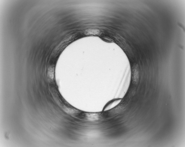 X0000100200091200806271651