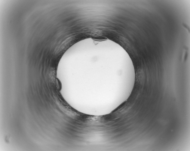 X0000100200092200806271651