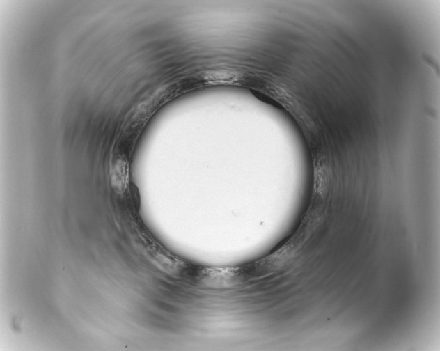 X0000100200093200806271651