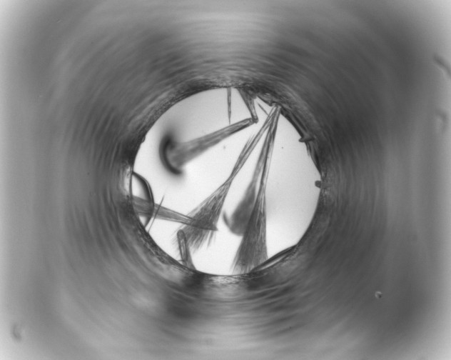 X0000100200095200806271651