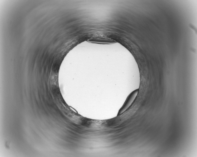 X0000100200096200806271651