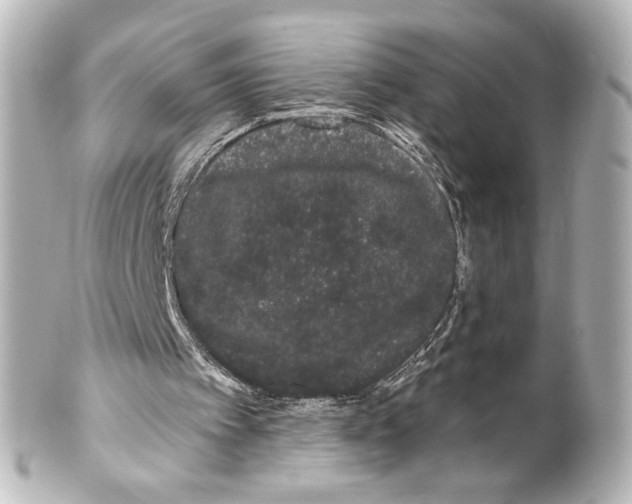 X0000100200097200806271650