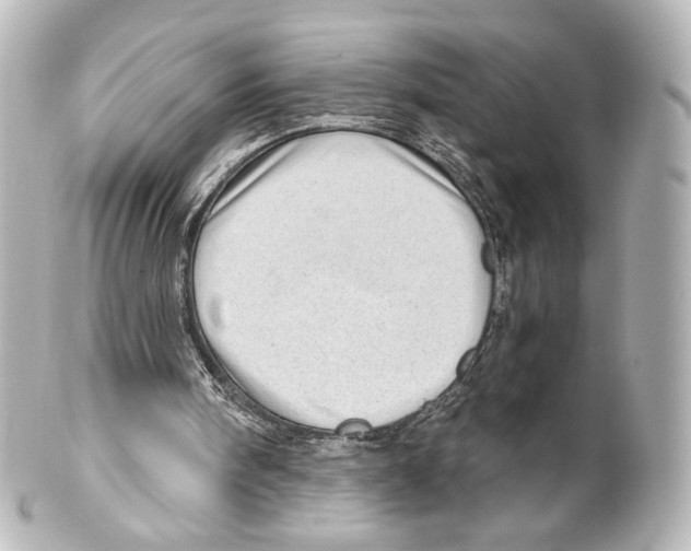 X0000100200098200806271650