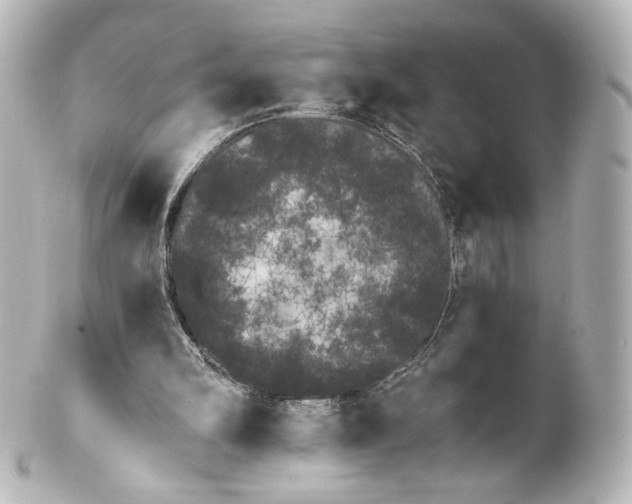 X0000100200102200806271650