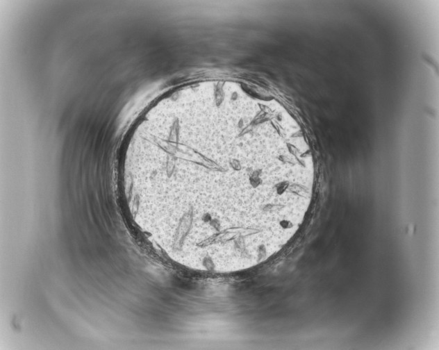 X0000100200103200806271650